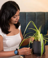 Woman holding a potted plant in a home setting